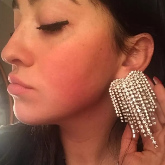 Tiffany Fringe Earrings - Picture 5 of 5